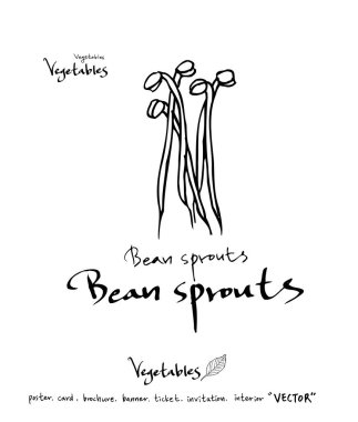 Sebze ve meyve resimler / el çekilmiş gıda maddeleri - vektör