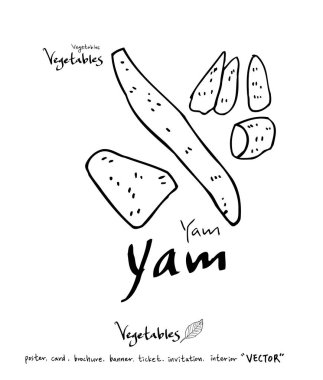 Sebze ve meyve resimler / el çekilmiş gıda maddeleri - vektör