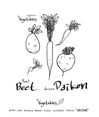 Sebze ve meyve resimler / el çekilmiş gıda maddeleri - vektör