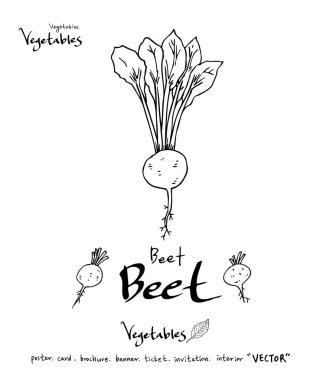 Sebze ve meyve resimler / el çekilmiş gıda maddeleri - vektör