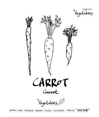 Sebze ve meyve resimler / el çekilmiş gıda maddeleri - vektör