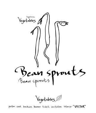 Sebze ve meyve resimler / el çekilmiş gıda maddeleri - vektör