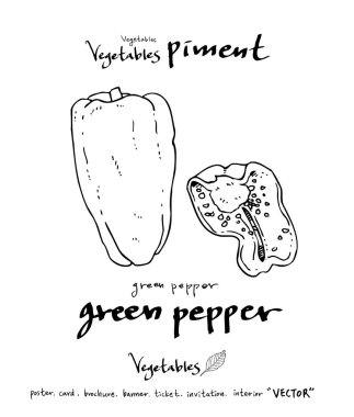 Sebze ve meyve resimler / el çekilmiş gıda maddeleri - vektör