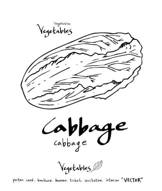 Sebze ve meyve resimler / el çekilmiş gıda maddeleri - vektör