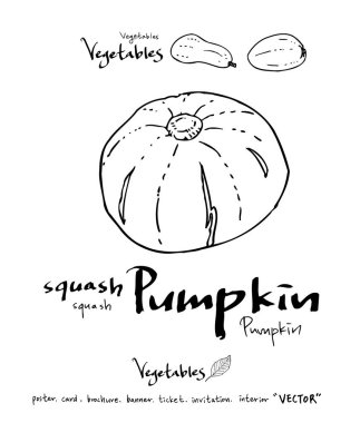 Sebze ve meyve resimler / el çekilmiş gıda maddeleri - vektör