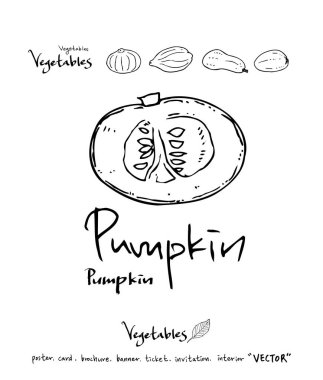 Sebze ve meyve resimler / el çekilmiş gıda maddeleri - vektör