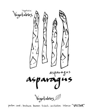 Sebze ve meyve resimler / el çekilmiş gıda maddeleri - vektör