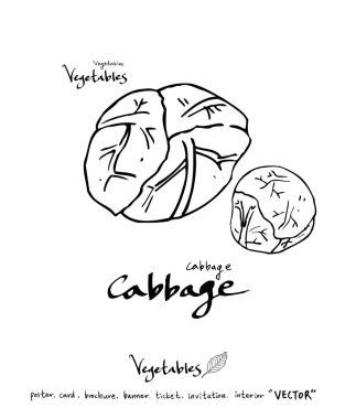 Sebze ve meyve resimler / el çekilmiş gıda maddeleri - vektör