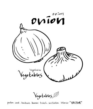 Sebze ve meyve resimler / el çekilmiş gıda maddeleri - vektör