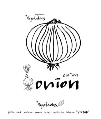 Sebze ve meyve resimler / el çekilmiş gıda maddeleri - vektör