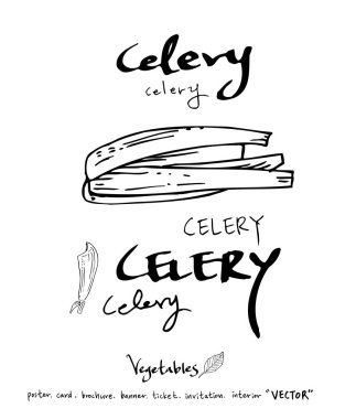 Sebze ve meyve resimler / el çekilmiş gıda maddeleri - vektör