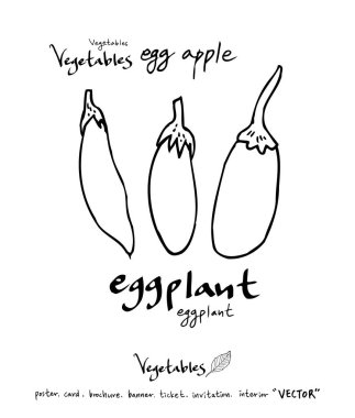 Sebze ve meyve resimler / el çekilmiş gıda maddeleri - vektör