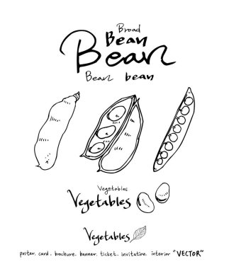 Sebze ve meyve resimler / el çekilmiş gıda maddeleri - vektör