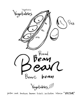 Sebze ve meyve resimler / el çekilmiş gıda maddeleri - vektör