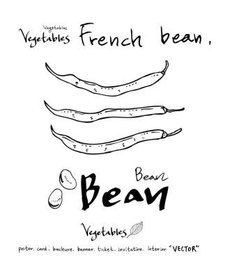 Sebze ve meyve resimler / el çekilmiş gıda maddeleri - vektör