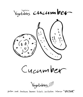 Sebze ve meyve resimler / el çekilmiş gıda maddeleri - vektör