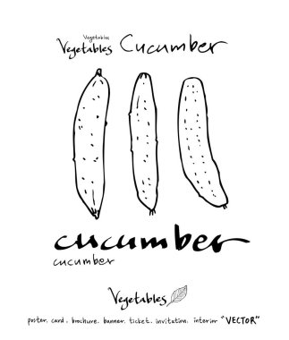 Sebze ve meyve resimler / el çekilmiş gıda maddeleri - vektör