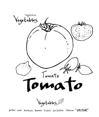 Sebze ve meyve resimler / el çekilmiş gıda maddeleri - vektör