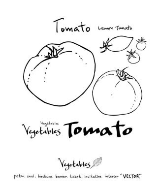 Sebze ve meyve resimler / el çekilmiş gıda maddeleri - vektör