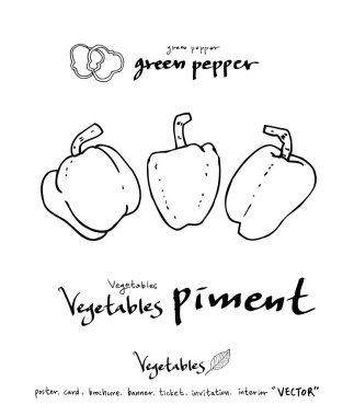 Sebze ve meyve resimler / el çekilmiş gıda maddeleri - vektör