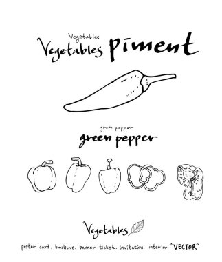 Sebze ve meyve resimler / el çekilmiş gıda maddeleri - vektör