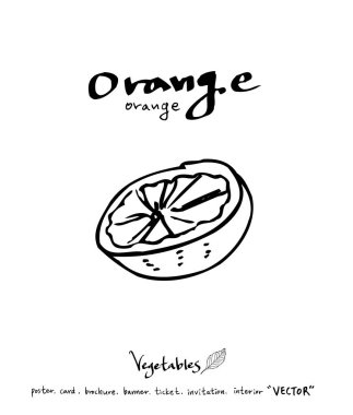 Sebze ve meyve resimler / el çekilmiş gıda maddeleri - vektör