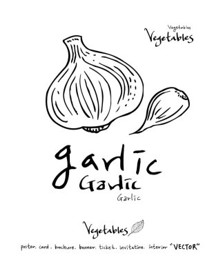 Sebze ve meyve resimler / el çekilmiş gıda maddeleri - vektör