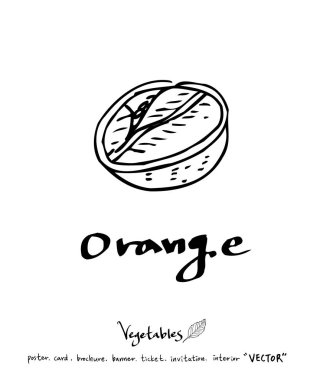 Sebze ve meyve resimler / el çekilmiş gıda maddeleri - vektör