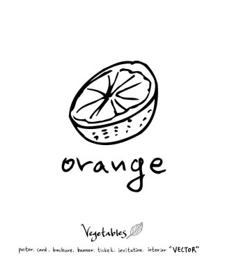 Sebze ve meyve resimler / el çekilmiş gıda maddeleri - vektör