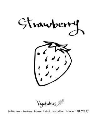 Sebze ve meyve resimler / el çekilmiş gıda maddeleri - vektör