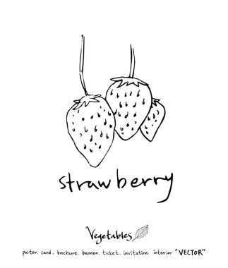 Sebze ve meyve resimler / el çekilmiş gıda maddeleri - vektör