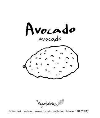 Sebze ve meyve resimler / el çekilmiş gıda maddeleri - vektör