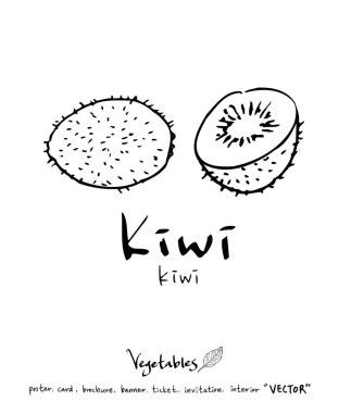 Sebze ve meyve resimler / el çekilmiş gıda maddeleri - vektör