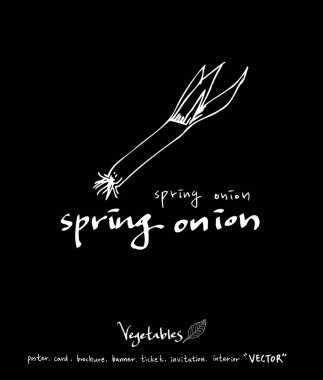 Sebze ve meyve resimler / el çekilmiş gıda maddeleri - vektör