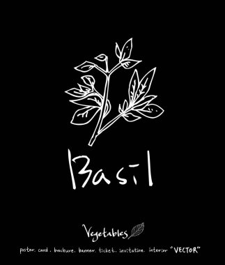 Sebze ve meyve resimler / el çekilmiş gıda maddeleri - vektör