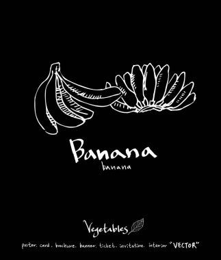 Sebze ve meyve resimler / el çekilmiş gıda maddeleri - vektör