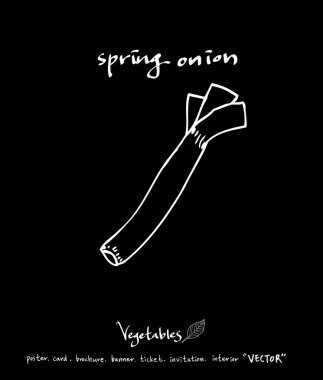 Sebze ve meyve resimler / el çekilmiş gıda maddeleri - vektör