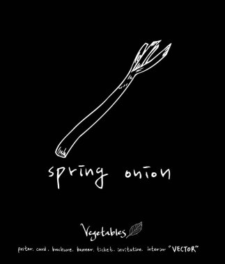 Sebze ve meyve resimler / el çekilmiş gıda maddeleri - vektör