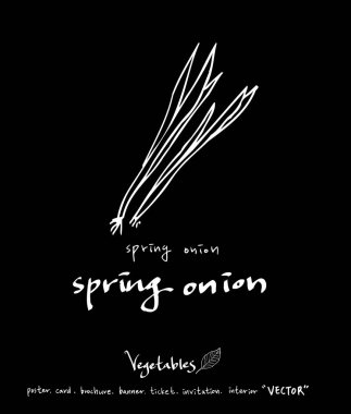 Sebze ve meyve resimler / el çekilmiş gıda maddeleri - vektör