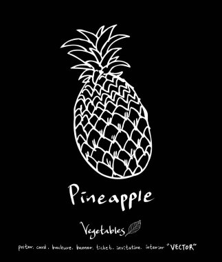 Sebze ve meyve resimler / el çekilmiş gıda maddeleri - vektör