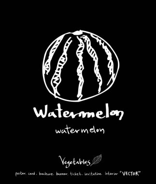 Sebze ve meyve resimler / el çekilmiş gıda maddeleri - vektör