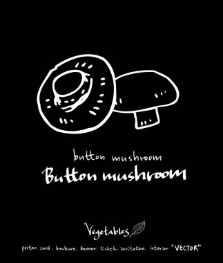 Sebze ve meyve resimler / el çekilmiş gıda maddeleri - vektör