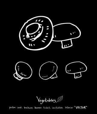 Sebze ve meyve resimler / el çekilmiş gıda maddeleri - vektör