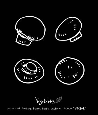 Sebze ve meyve resimler / el çekilmiş gıda maddeleri - vektör
