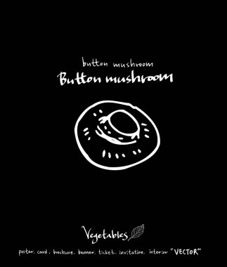 Sebze ve meyve resimler / el çekilmiş gıda maddeleri - vektör