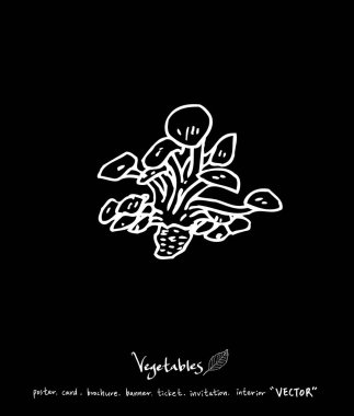 Sebze ve meyve resimler / el çekilmiş gıda maddeleri - vektör