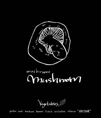 Sebze ve meyve resimler / el çekilmiş gıda maddeleri - vektör