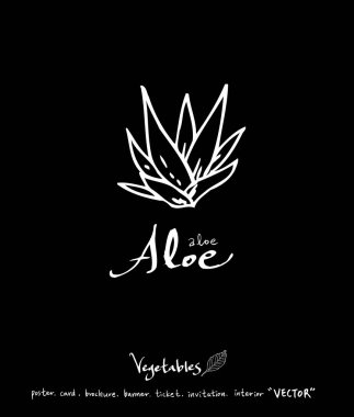 Sebze ve meyve resimler / el çekilmiş gıda maddeleri - vektör