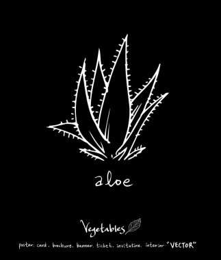 Sebze ve meyve resimler / el çekilmiş gıda maddeleri - vektör