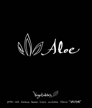 Sebze ve meyve resimler / el çekilmiş gıda maddeleri - vektör